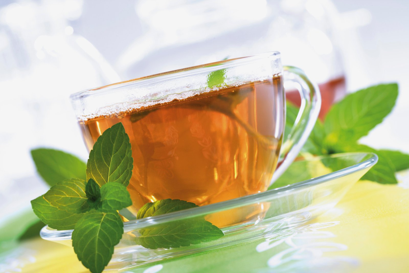 Ceylon Tea Estates